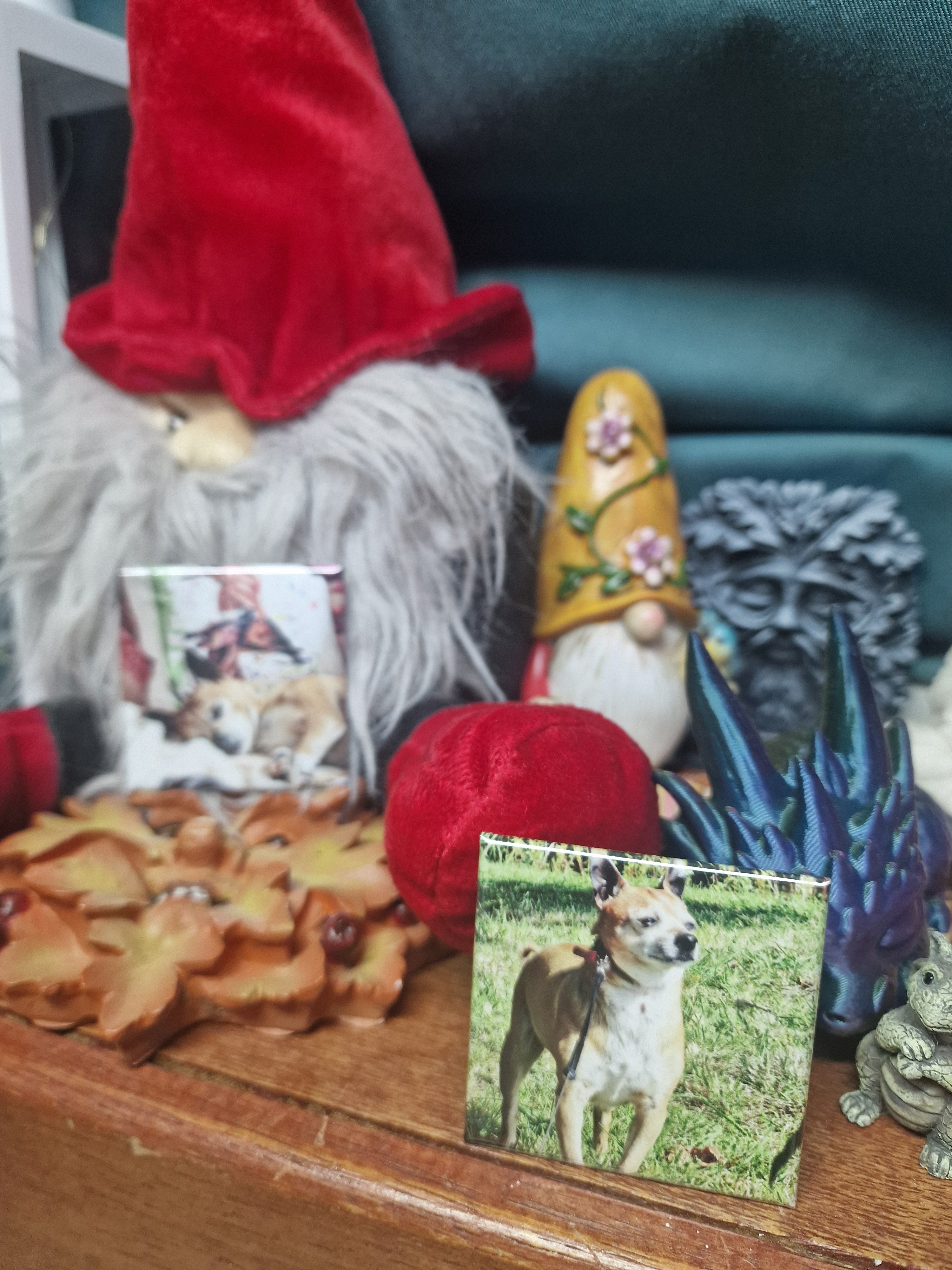 Square Photo Magnet - 2x2" - Set of 6