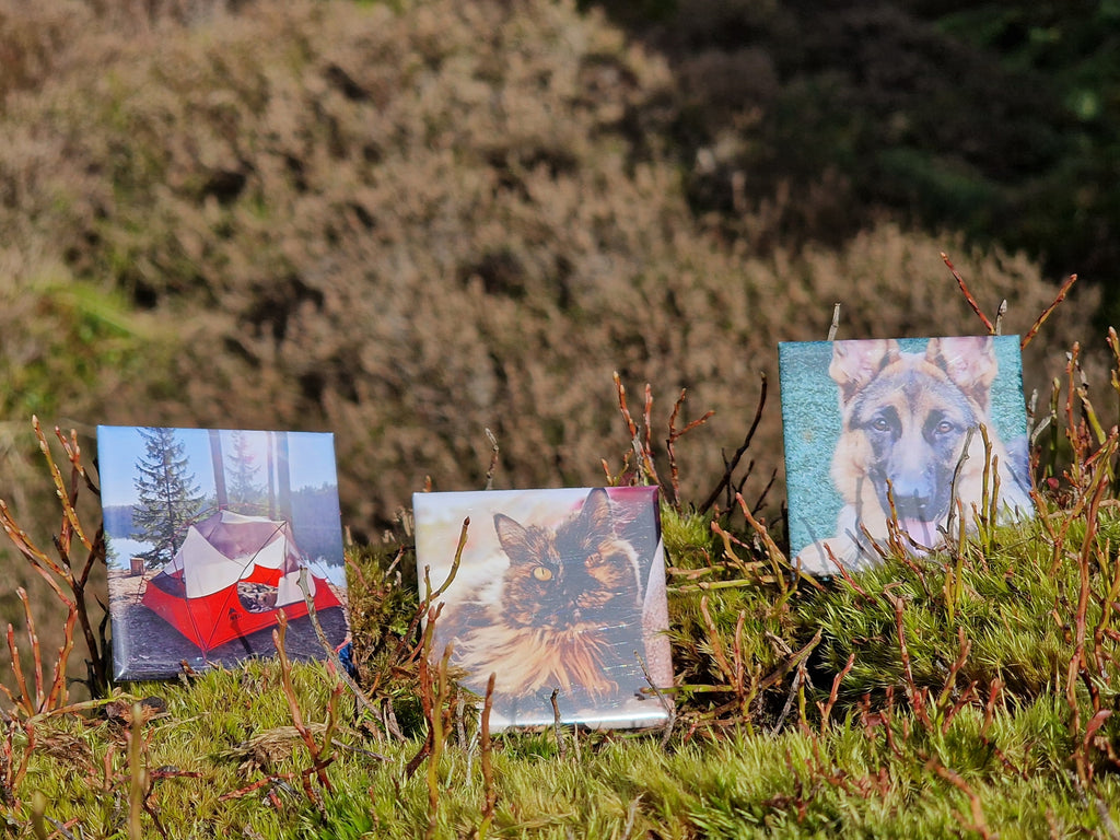 Square Photo Magnet - 2x2" - Set of 6