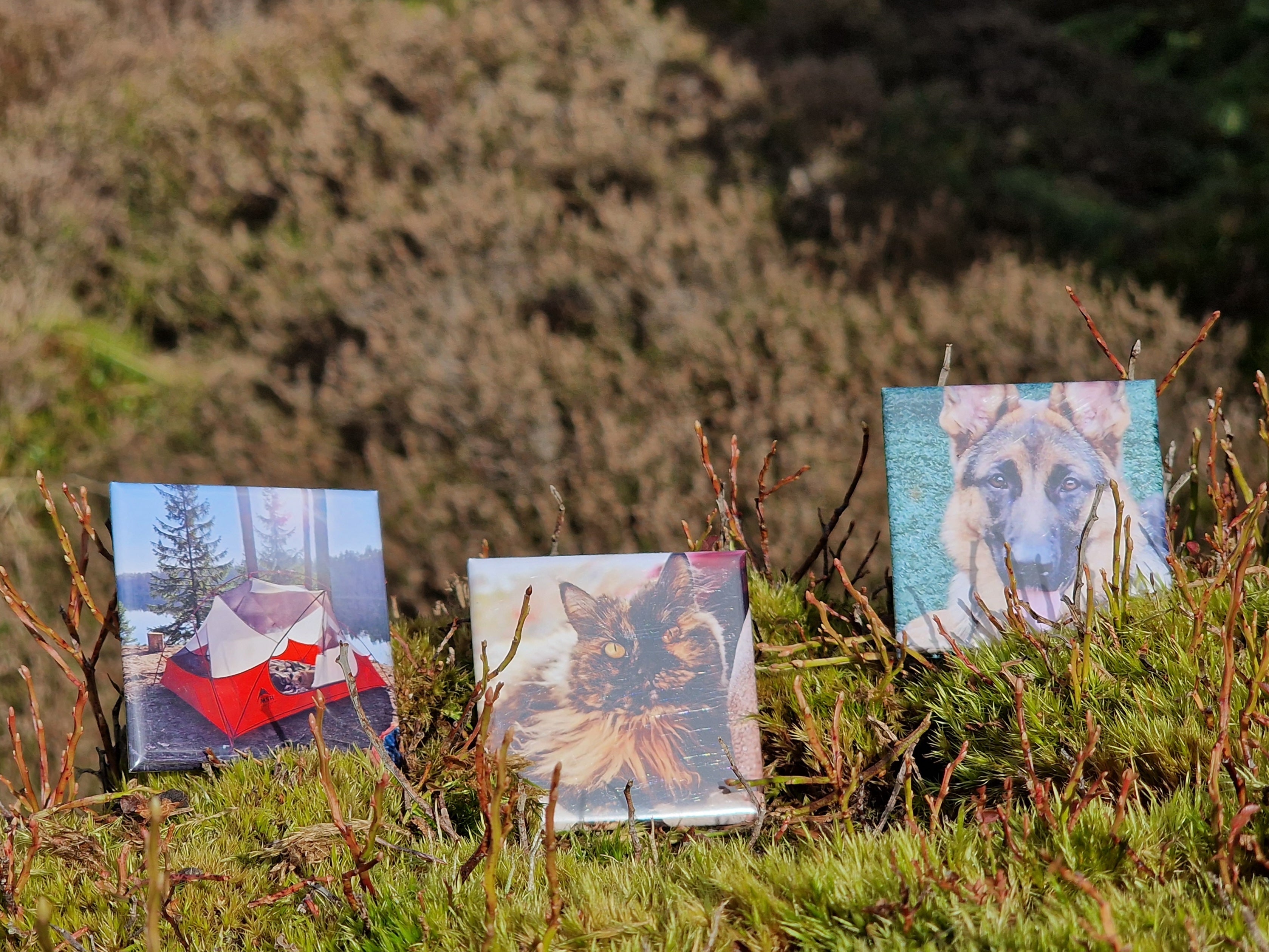 Square Photo Magnet - 2x2" - Set of 6