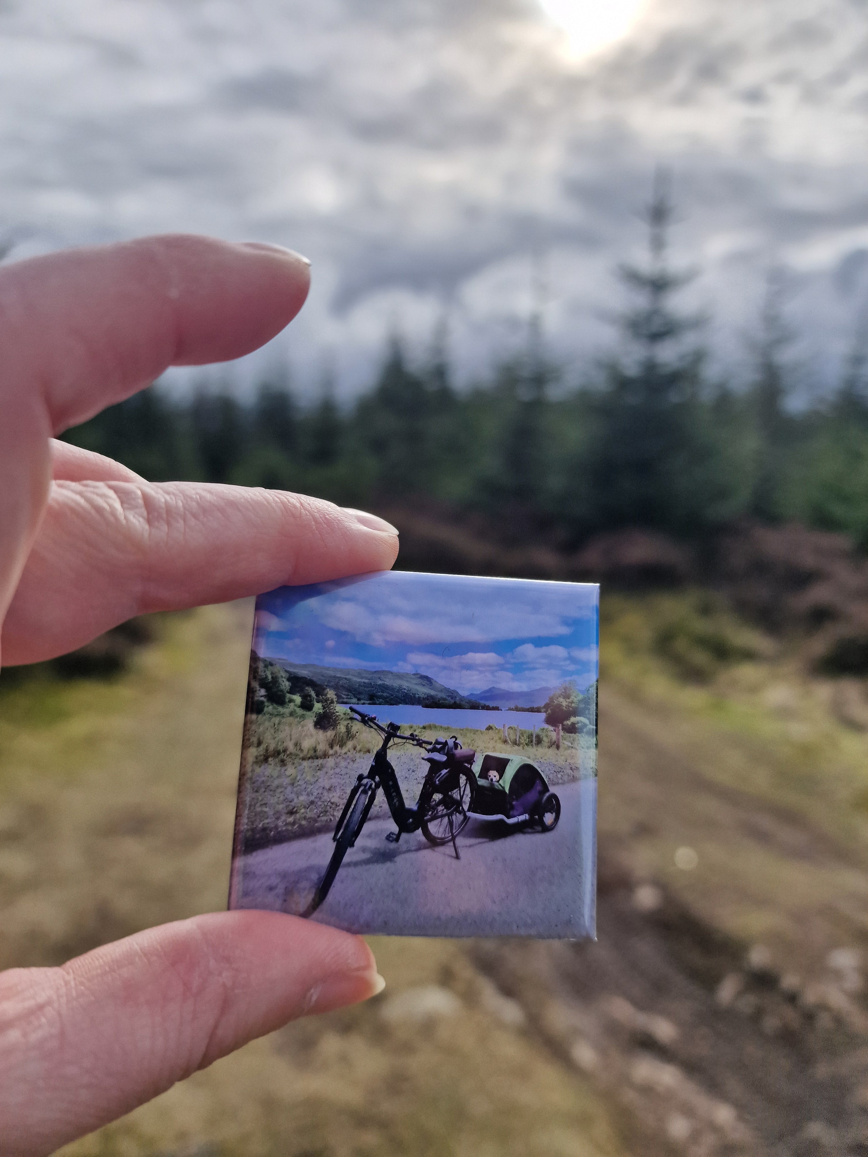 Square Photo Magnet - 2x2" - Set of 6